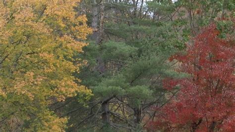 Great Smoky Mountains National Park Fall colors in the Smokies bring ...