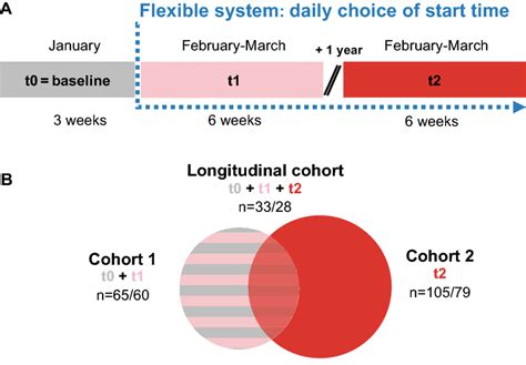 Study design and cohort overview. (A) Schematic of longitudinal study ...