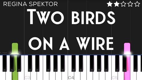 Regina Spektor - Two Birds On a Wire | EASY Piano Tutorial - YouTube