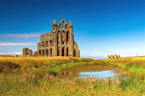 Whitby Abbey – Our Image Nation