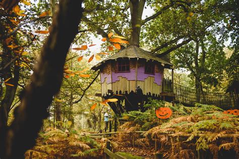 It's time to visit Bewilderwood at its most magical