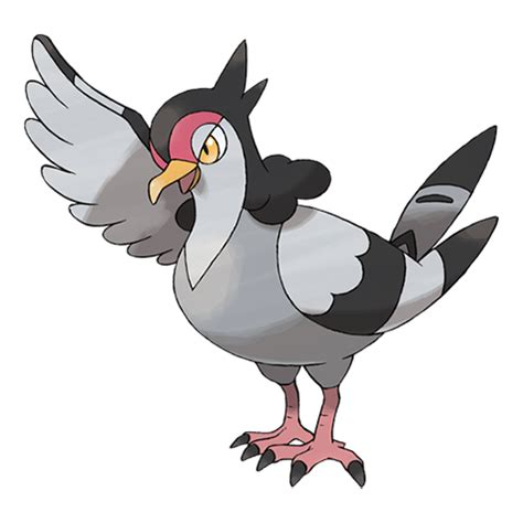 Wild Pigeon – Pokémon Blog