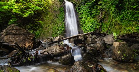 Long Exposure Photography of Waterfalls · Free Stock Photo