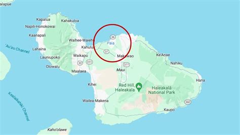 Maui, Hawaii shark attack: Man killed while surfing Paia Bay | news.com.au — Australia’s leading ...