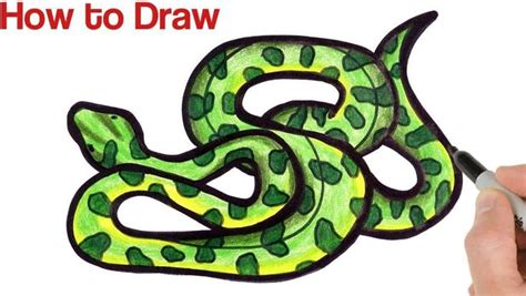 How to Draw a Green Anaconda Step by Step - https://htdraw.com/wp ...