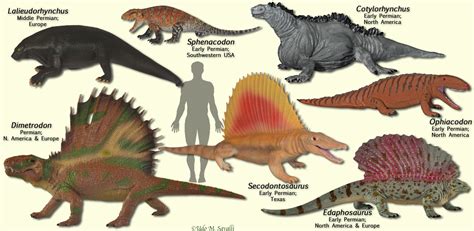 BIO113-Non-dinosaur Reptiles