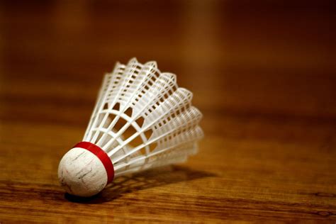 Which Shuttlecock Is Better For Beginners: Plastic Or Feather? - Playo