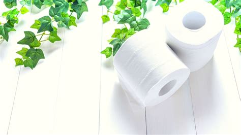 Choosing Eco-Friendly and Sustainable Toilet Paper | just luve