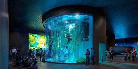 New Mazatlán Aquarium | MAT Filtrations | blooloop