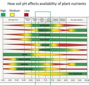 Agriculture News - The Andersons Nutrient & Industrial Group