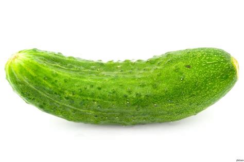 Create meme "cucumber , cucumber picture for kids, background cucumber" - Pictures - Meme ...