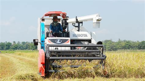 Rice Harvester Machine