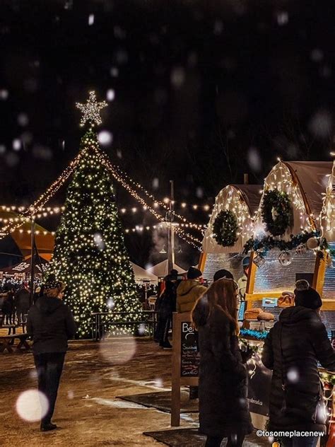 35+ Fun Things to do in Edmonton in Winter: Activities, Events & More ...