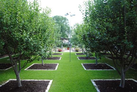 Pin on Дача | Tree garden design, Fruit tree garden, Orchard garden