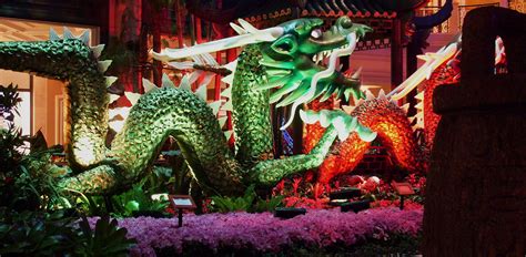 Dragon At Bellagio Casino Free Stock Photo - Public Domain Pictures