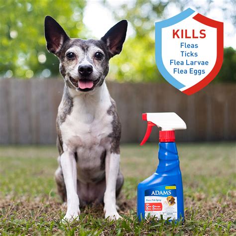 Adams Flea & Tick Spray | Adams™