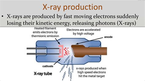 PPT - Fluorescence and X rays PowerPoint Presentation, free download - ID:4915613