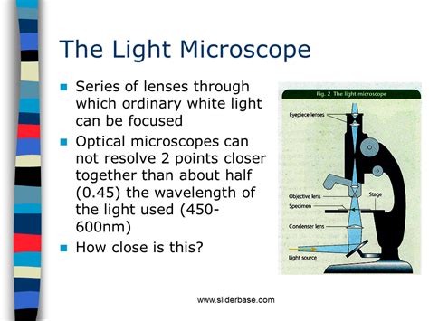 Electron Microscope - Presentation Cell biology