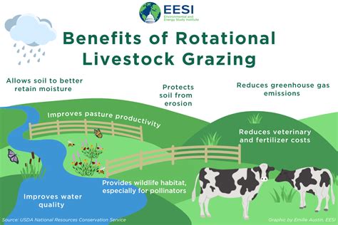 The Climate and Economic Benefits of Rotational Livestock Grazing | Article | EESI