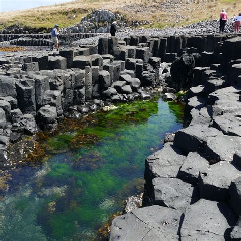 Basalt Columns - The Chatham Islands