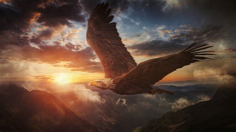 Download Mountain Sunset Eagle Animal Bald Eagle 4k Ultra HD Wallpaper by Chris Frank
