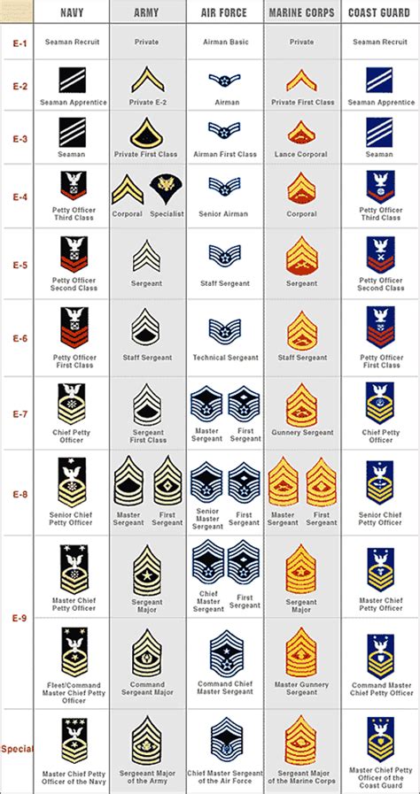 Rank Structure And Insignia Of The US Military - Common Sense Evaluation