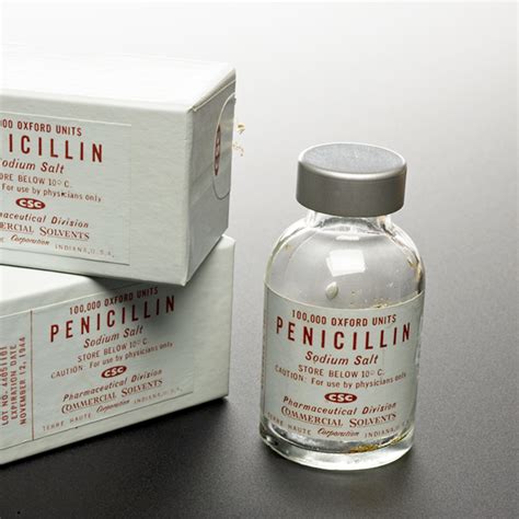 Discovery and Development of Penicillin | Blingby