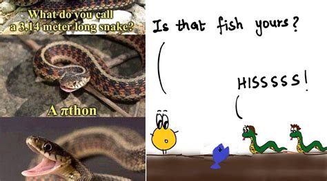 On World Snake Day 2021, These Silly Snake Puns and Riddles Will Make You Laugh 'Hisssterically'