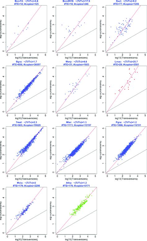 Transition and transversion mutation rates in TE copies from fungal ...