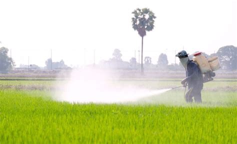 Common Chemicals That Cause Waterborne Diseases