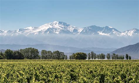 Is Mendoza Worth Visiting? 11 Pro's Of The Wine Region