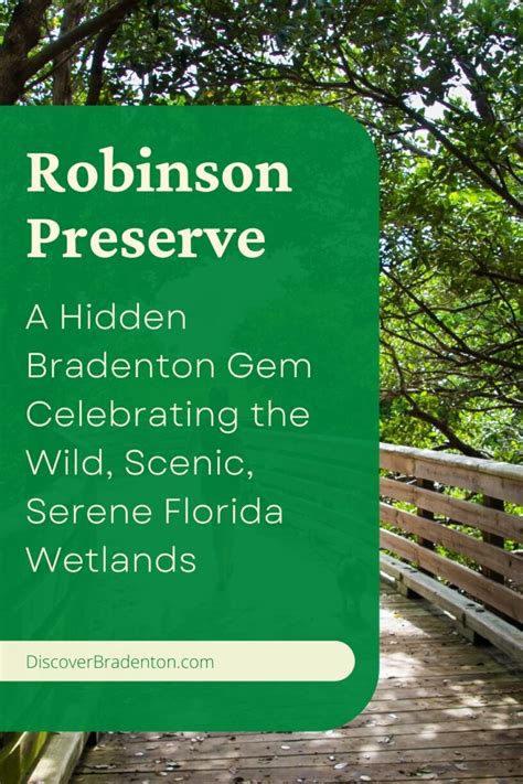 Robinson Preserve in Bradenton: A Hidden Gem Celebrating Florida Wetlands