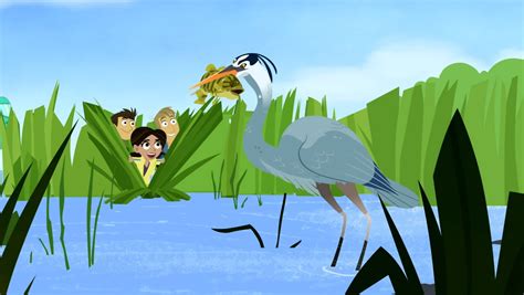 Blue Heron | Wild Kratts Wiki | Fandom