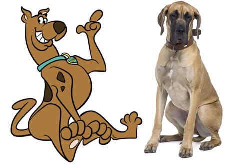 What Kind of Dog Is Scooby Doo? Discover the Surprising Breed Behind ...