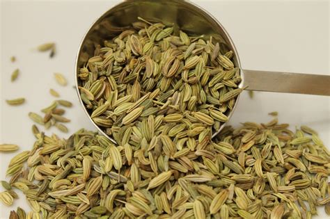 Fennel Seed - Stuart's Spices