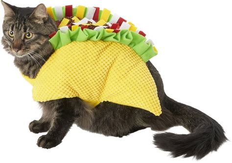 Frisco Taco Cat Costume | Best Costumes For Cats | POPSUGAR UK Pets Photo 19