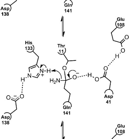 Internal ester bond. ( A ) Electron density map (2Fo-Fc omit map ...