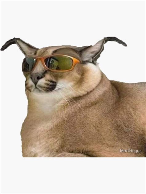 "Big Floppa Caracal Wearing Sunglasses" Sticker for Sale by MattRuggz | Redbubble