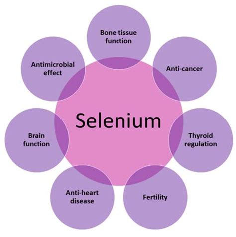 selenium benefits