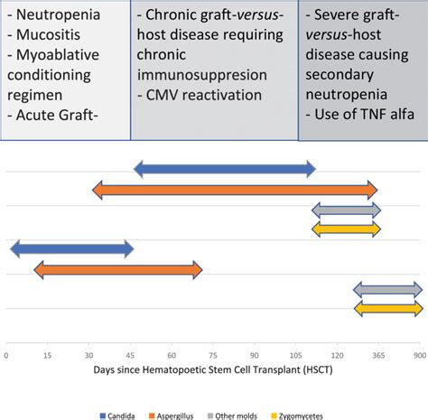 Timeline and risk factors of invasive fungal infections. CMV,... | Download Scientific Diagram