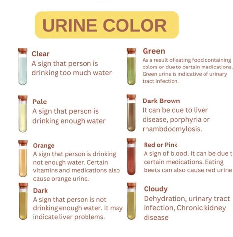 Urine Color Guide : r/coolguides