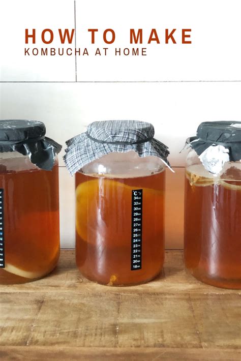 Curious about Kombucha? Want to brew it at home but don't know where to ...