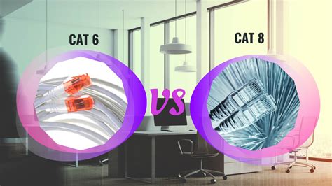 Cat6 vs. Cat8: Which is Right for Your Office Network? | iFeeltech