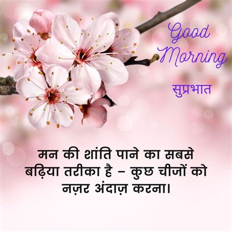 200+ Beautiful Good Morning Quotes In Hindi With Images 2022 in 2022 ...