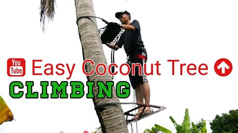 Tree Climbing Techniques Tutorial | How To Climb Tree - YouTube