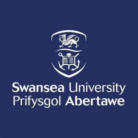 Swansea University | Swansea