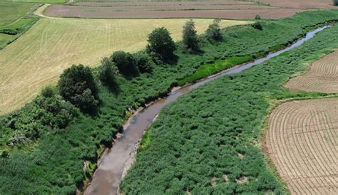 Enhancing Riparian Areas by Managing Vegetation - Nova Scotia ...