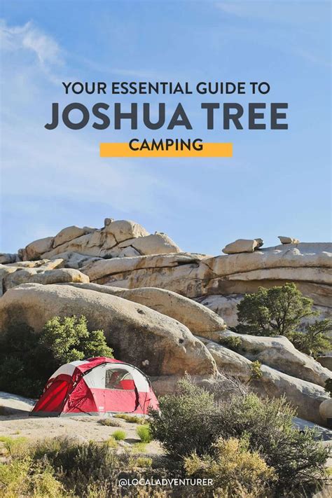 Joshua Tree Camping - What You Need to Know » Local Adventurer