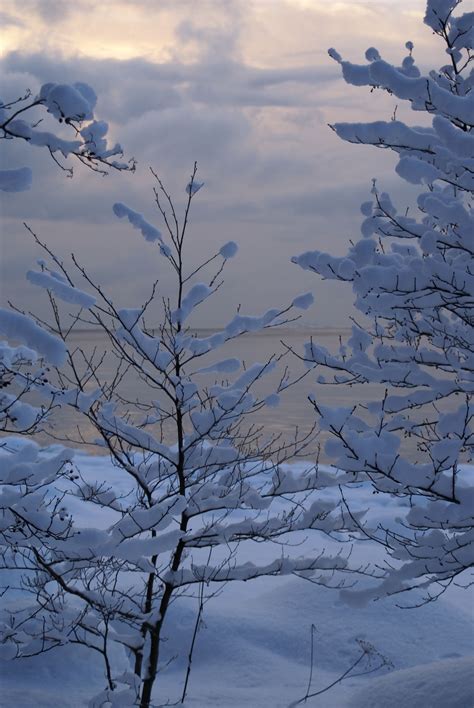 December II | Flickr - Photo Sharing! I Love Snow, I Love Winter, Winter Is Coming, Winter Day ...