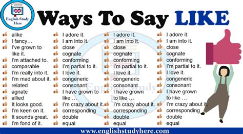 50 Regular Verbs - English Study Here